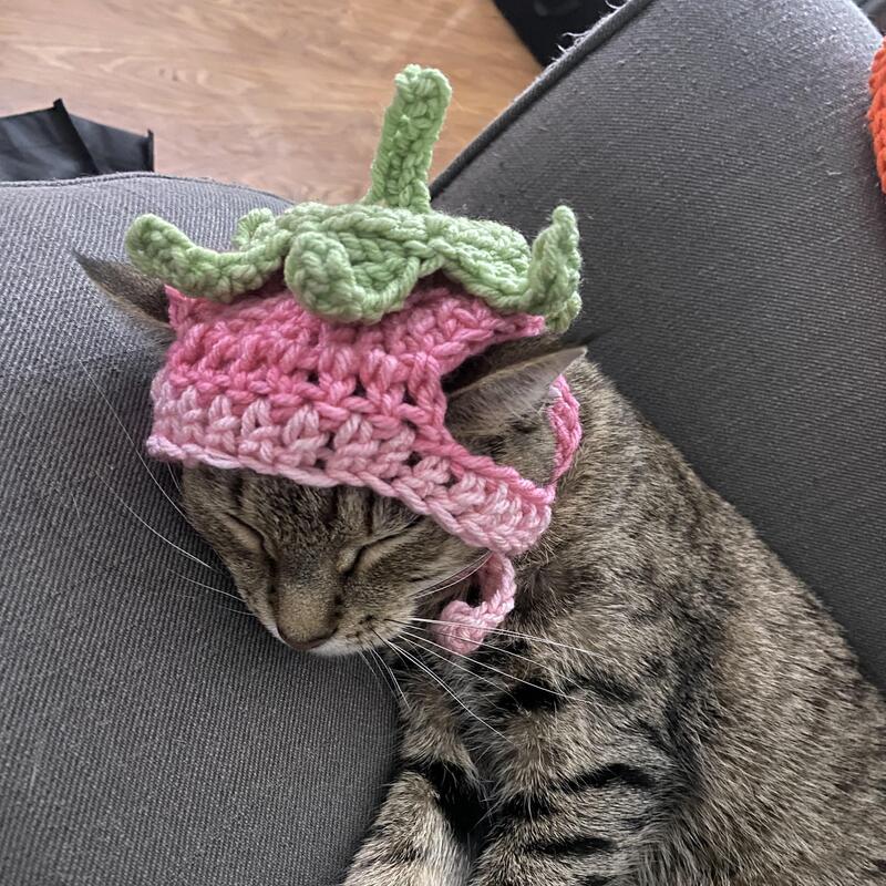 How to Crochet a Cat Hat: A Step-by-Step Guide