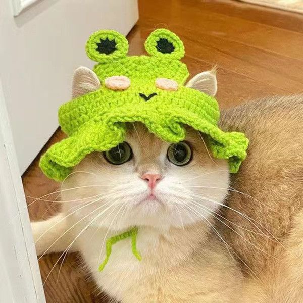 Cat's hat